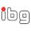 ibg NDT Systems - Eddy Current Testers logo